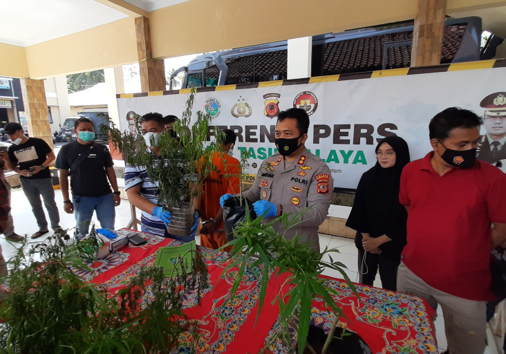 Tanami Kebun Cabe dengan...