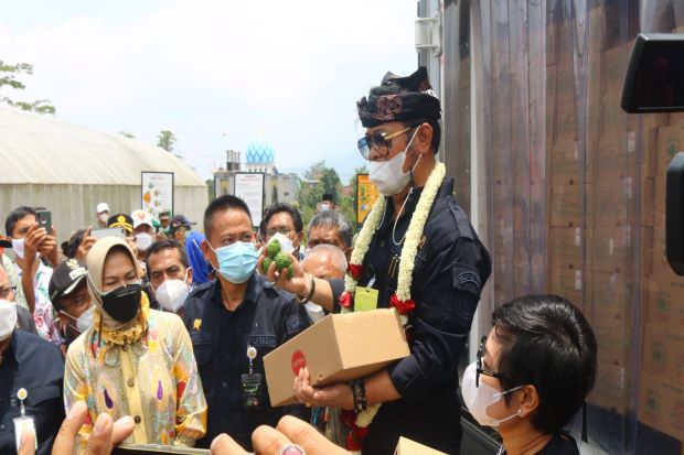 Jeruk Purut Asal Kota...