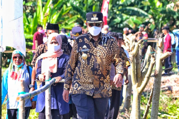 30 Ton Kacang Hijau...