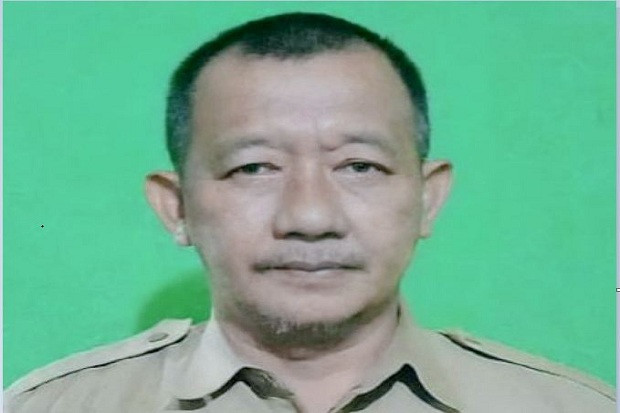 Begini Peran Dinson...