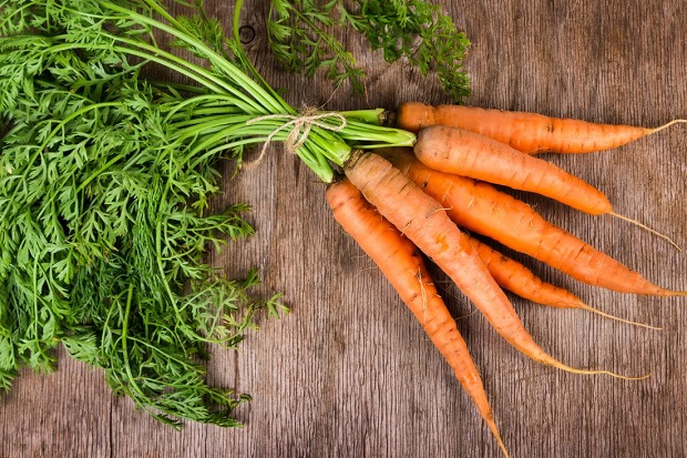 5 Sayur Penurun Kolesterol...
