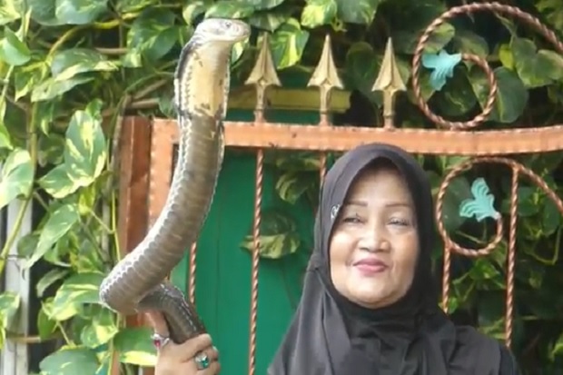 Ratu Ular Purwokerto...