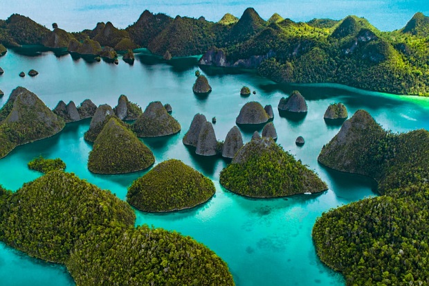 Raja Ampat, Wisata Bawah...