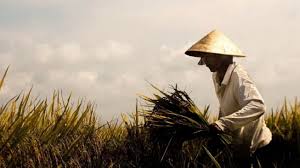 Bentrok Petani dan Preman...