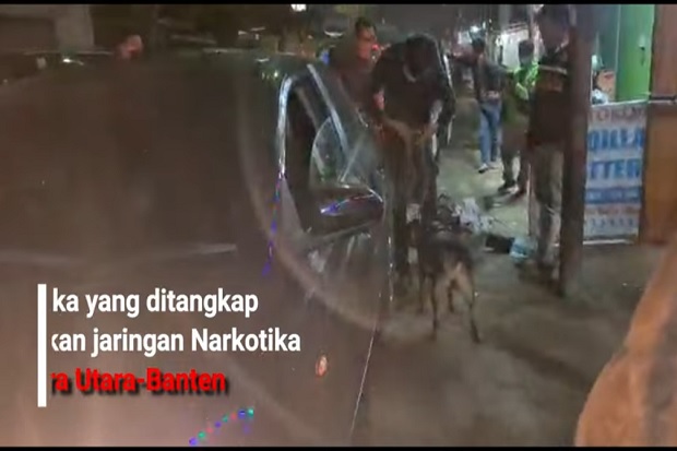 Bekuk Jaringan Narkoba...