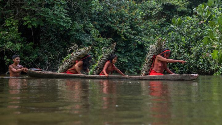 Hewan yang Ada di Sungai...