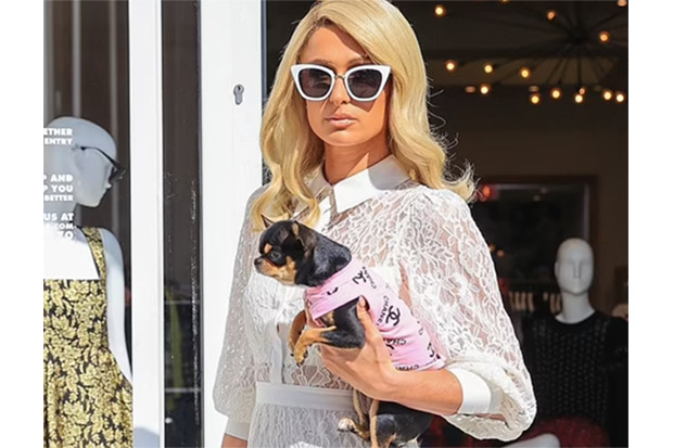 Paris Hilton Dandani...