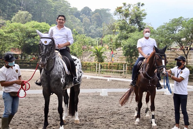 Konsolidasi Partai Sambil...