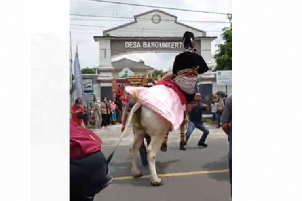 Gara-gara Sapi yang...