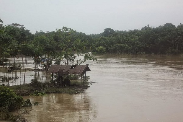 Tak Kunjung Pulang ke...