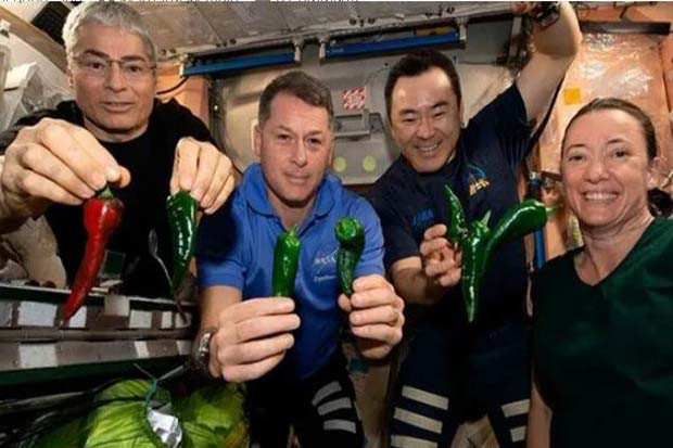 4 Astronot NASA Dijadwalkan...