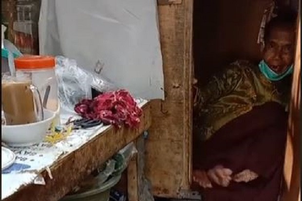 Viral, Nenek Pedagang...