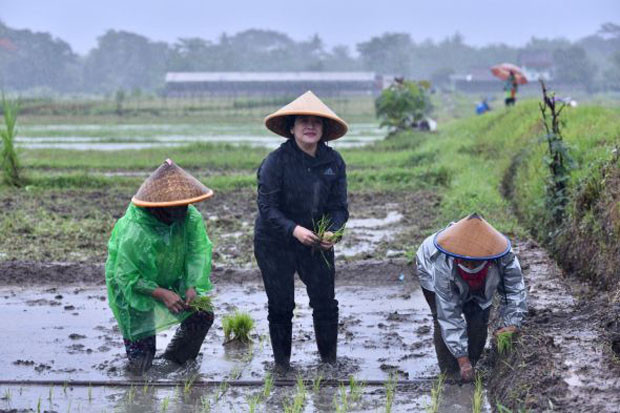 Susi Sindir Puan Berbasah-basah...