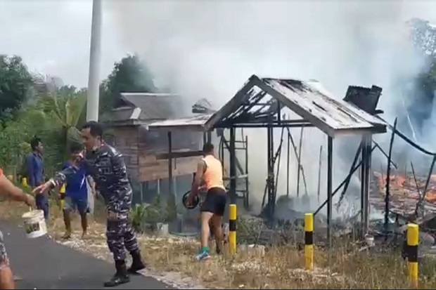 Ditinggal Pemiliknya,...