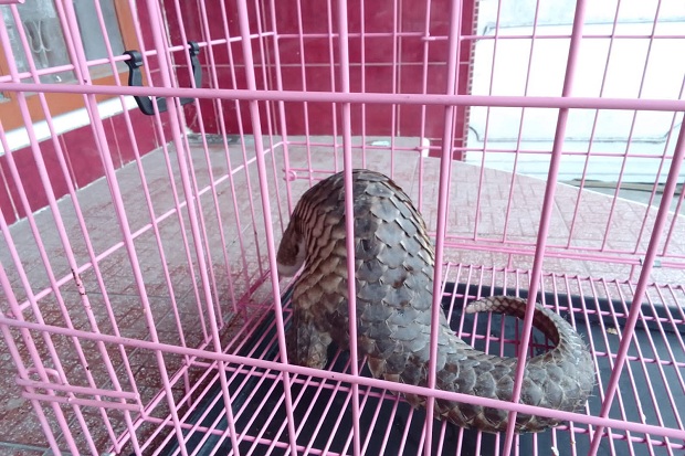 Merasa Iba, Warga Padang...