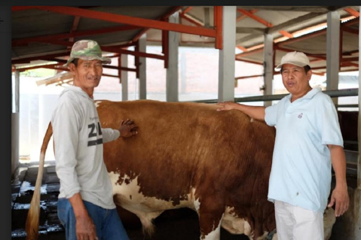 Penuhi Lonjakan Permintaan,...