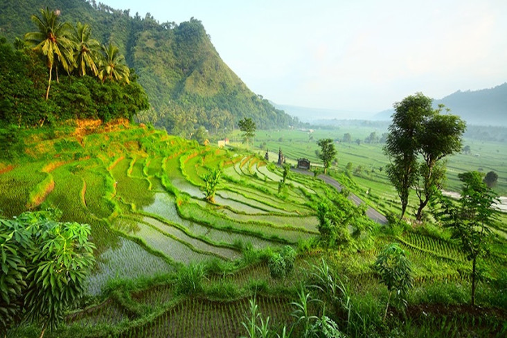 Ubud Jadi Kota Wisata...