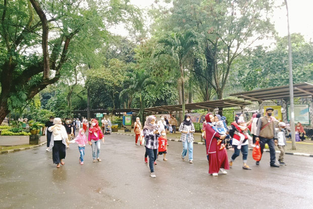 Diguyur Hujan, Mobilitas...