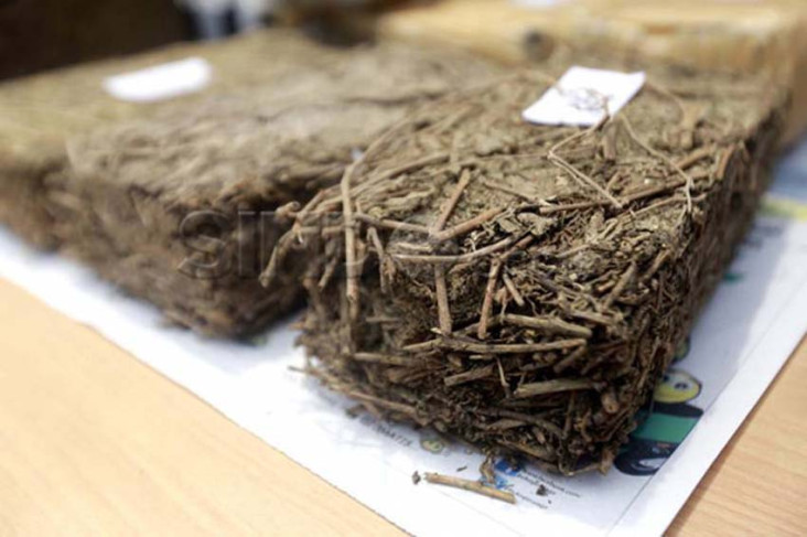 Sita 224 Kg Ganja, Bareskrim...
