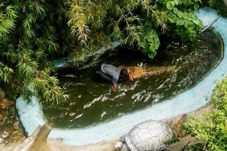 Disangka Patung, Turis...
