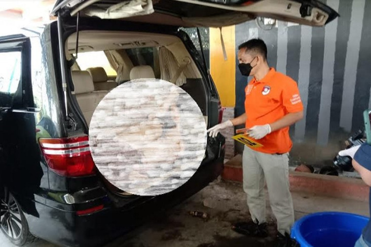 Misteri Pembunuhan Ibu...