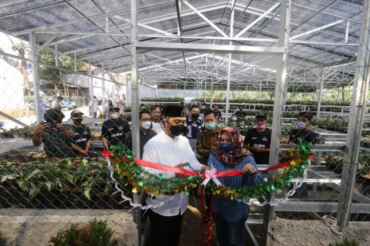 Green House Jadi Percontohan...