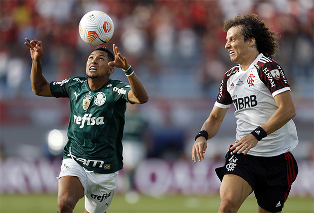Palmeiras Juara Copa...