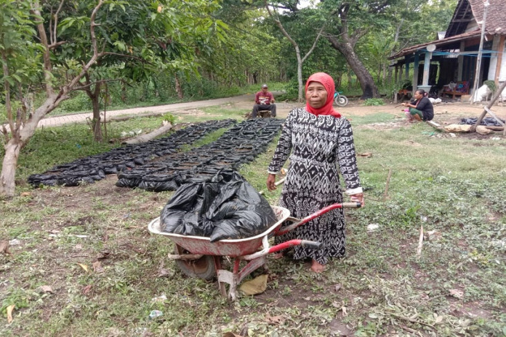 Komunitas NFT Dorong...