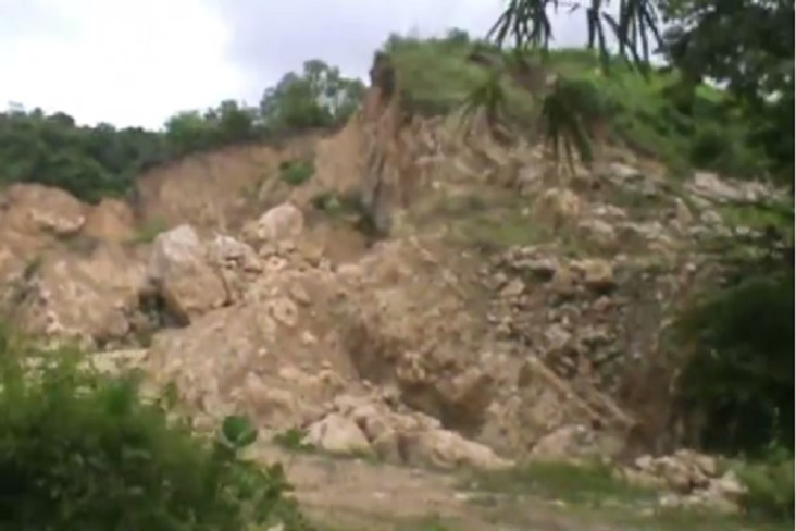 80 Persen Hutan NTB...