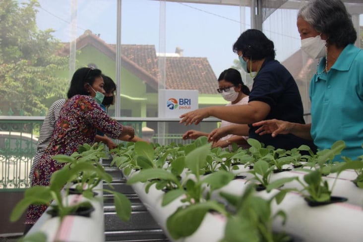 Hobi Jadi Ladang Rezeki,...