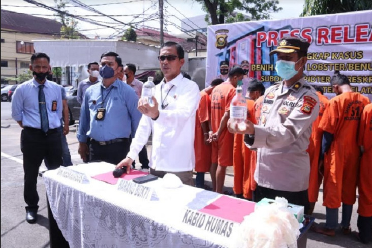 Gerebek Rumah Penampungan...