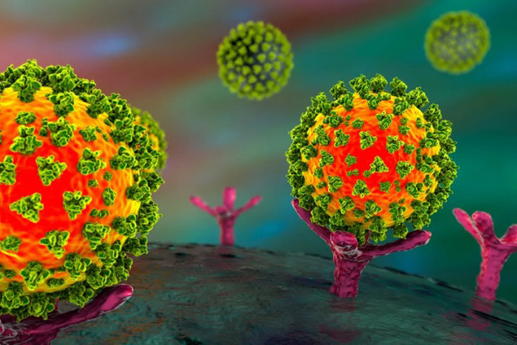 5 Fakta Virus Omicron...