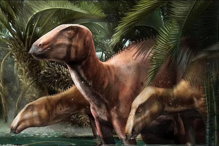 Fosil Dinosaurus Terbesar...