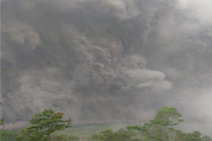 Gunung Semeru Meletus,...