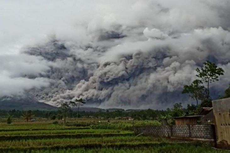Gunung Semeru Erupsi,...