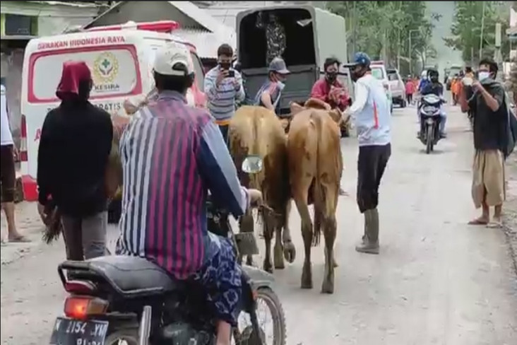 Panik Angin Kencang...