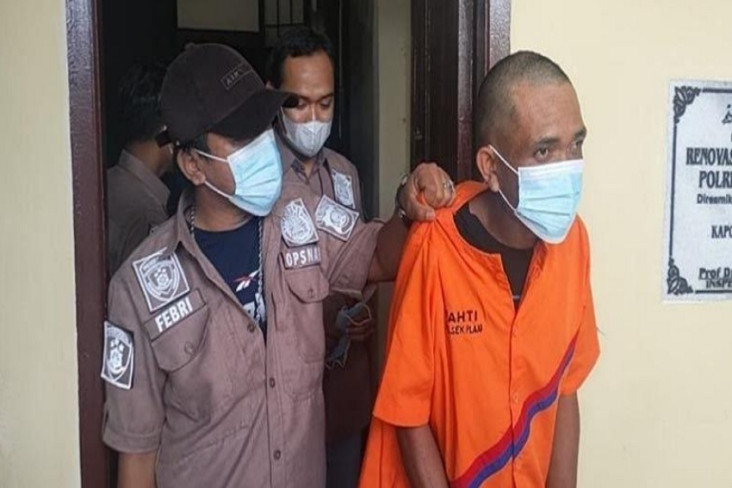Penampakan Daud, Spesialis...