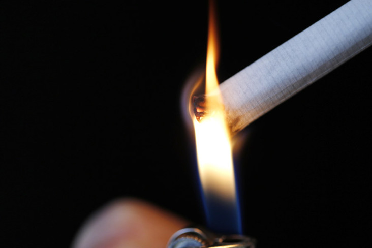 Anak Muda Selandia Baru...