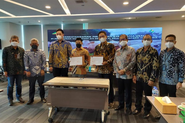 PTPN XIV Kembangkan...