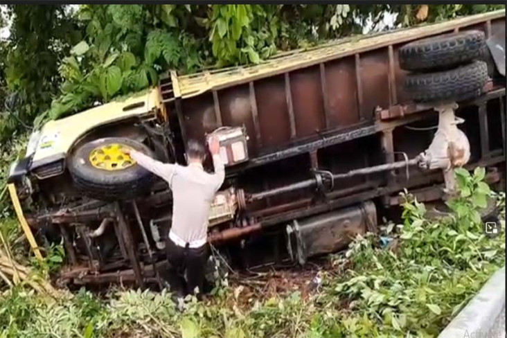 Truk Muat Kayu Ilegal...