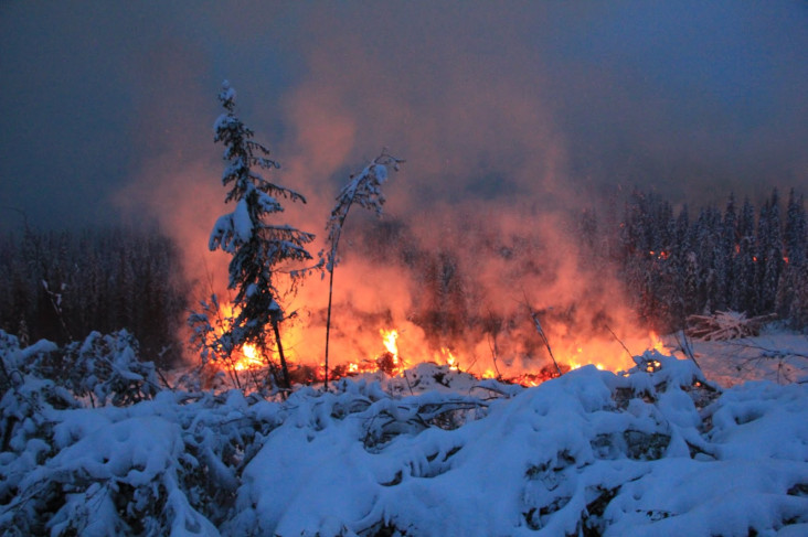 Zombie Fire Menghantui...