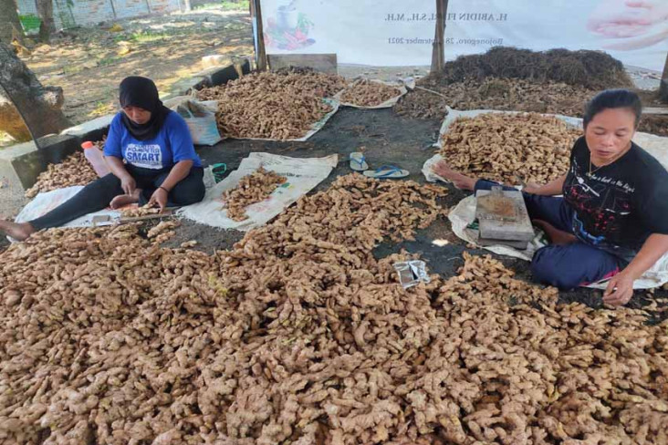 Komunitas NFT Bantu...
