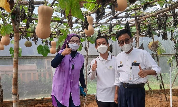Petani Milenial Belitung...