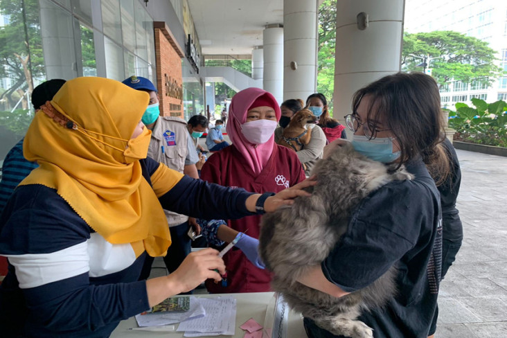 Tekan Penyakit Rabies,...
