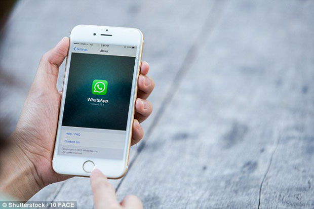 Status Last Seen WhatsApp...
