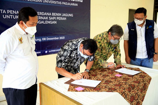Sinergi LPDB-KUMKM dan...