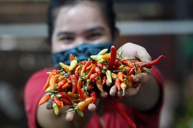 Gawat Bunda! Harga Cabai...