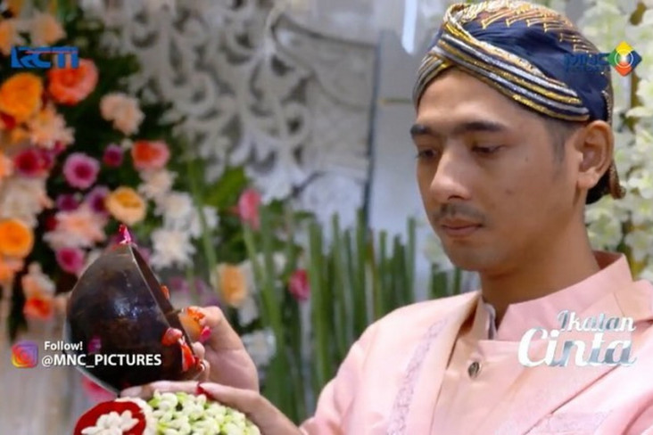 Sinopsis Ikatan Cinta...