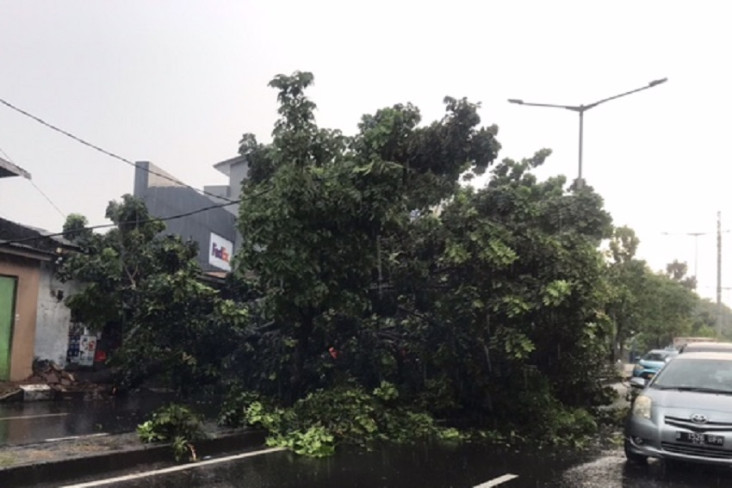 Kebon Jeruk Dikepung...