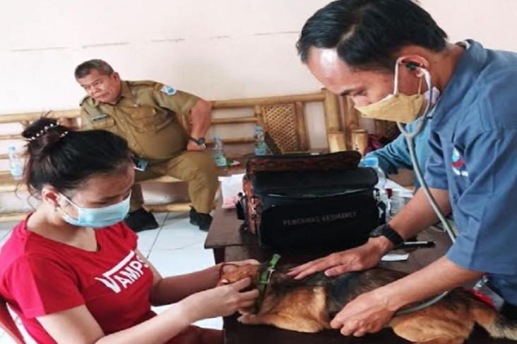 Petugas Dispantan Tambah...
